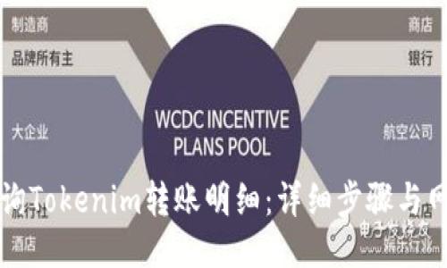 如何查询Tokenim转账明细：详细步骤与网址介绍