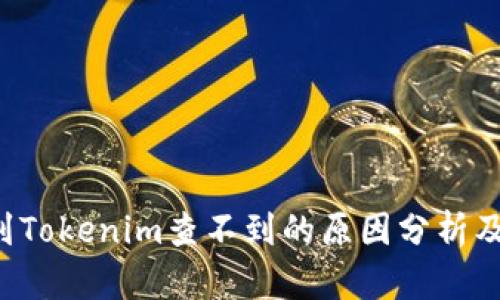 Ckb提币到Tokenim查不到的原因分析及解决方案