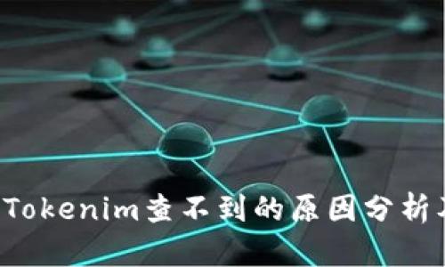 Ckb提币到Tokenim查不到的原因分析及解决方案
