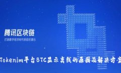 Tokenim平台BTC显示离线的原因及解决方案