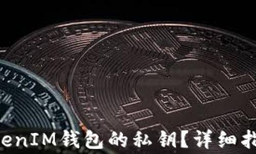
如何找回TokenTokenIM钱包的私钥？详细指南及常见问题解答