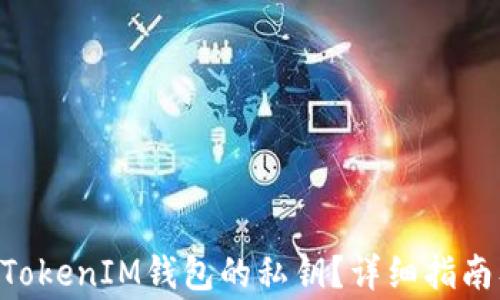 
如何找回TokenTokenIM钱包的私钥？详细指南及常见问题解答