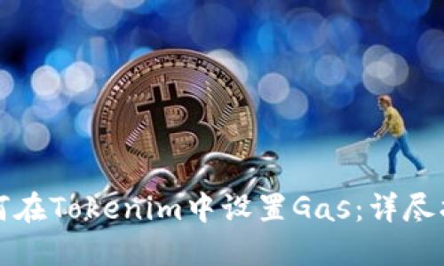 如何在Tokenim中设置Gas：详尽指南