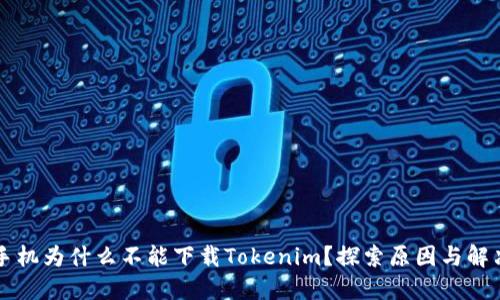 苹果手机为什么不能下载Tokenim？探索原因与解决方法