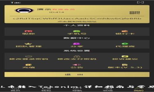 如何将SOL币转入Tokenim：详细指南与常见问题解析